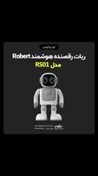 Robot Program Dance Robert RS01 first