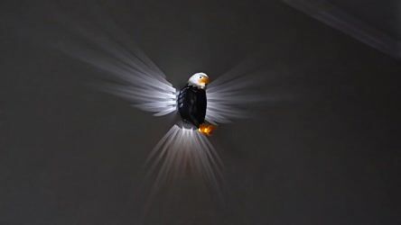 Eagle Wall Light 600 LM